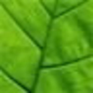 Meet your Posher, Billy